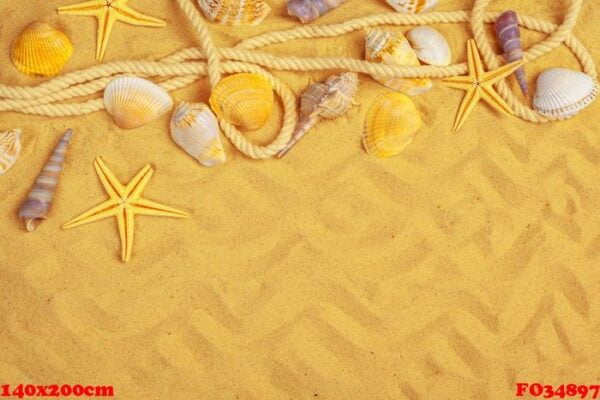 seashells on sand. sea summer vacation background