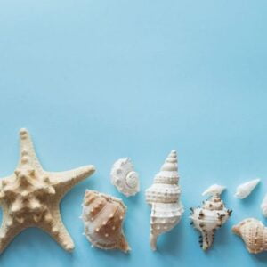 flat lay traveler accessories on blue background , copy space with sea shells, money and sunglasses. summer background.