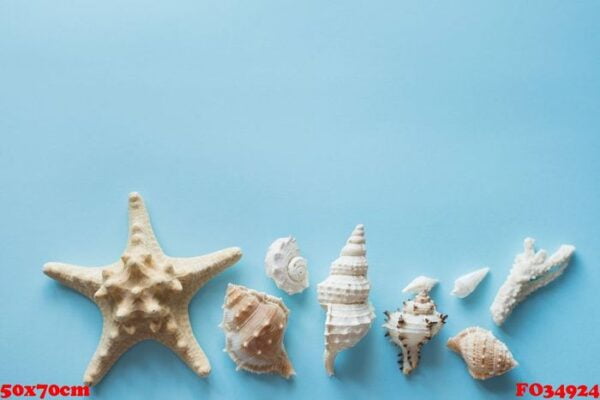 flat lay traveler accessories on blue background , copy space with sea shells, money and sunglasses. summer background.