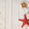 seaside decorations on light wooden planks: shells, sea stars, s