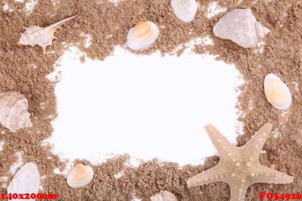 seashells on a pile of sand isolated over white, frame