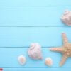 starfish and seashells on a blue wooden background. summer concept