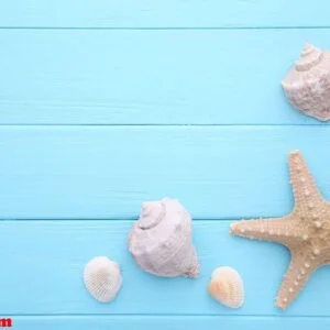 starfish and seashells on a blue wooden background. summer concept