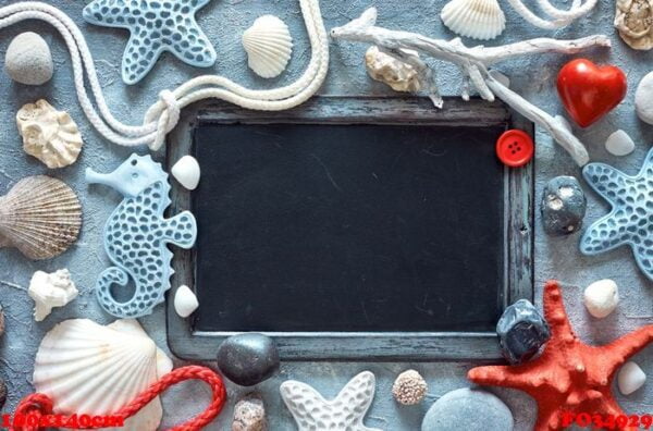 blank blackboard with sea shells, stones, rope and star fish on