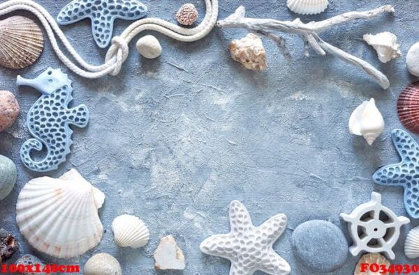 frame made of sea shells, stones, rope and star fish on blue tex