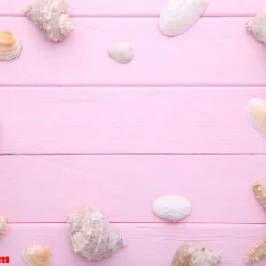 starfish and seashells on a pink wooden background. summer concept
