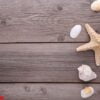 starfish and seashells on a grey wooden background. summer concept