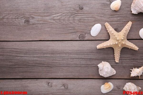 starfish and seashells on a grey wooden background. summer concept