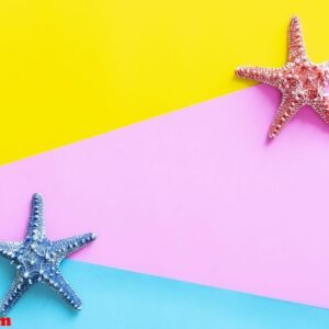 travel and summer background concept. starfishes on colorful bac