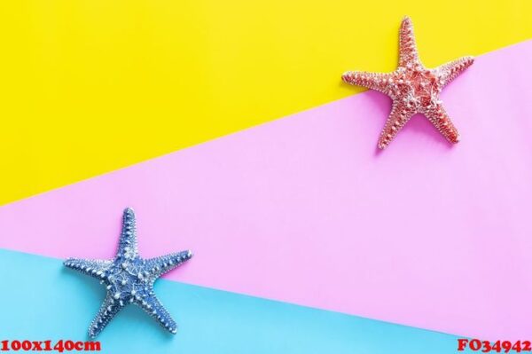 travel and summer background concept. starfishes on colorful bac