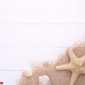 starfish and seashells with sand on a white wooden background with copy space. summer concept