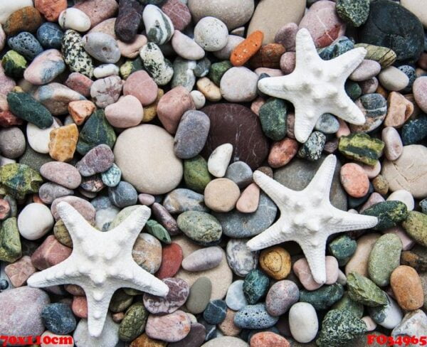 sea pebble stones and starfish