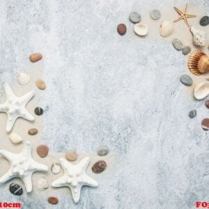 seashells and starfish border