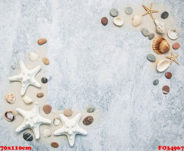 seashells and starfish border