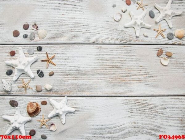 seashells and starfish border