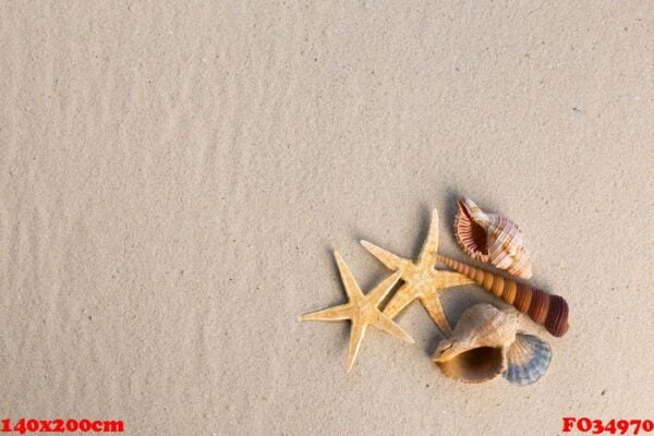 sea shells with sand as background