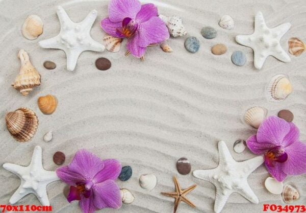 seashells and starfish border