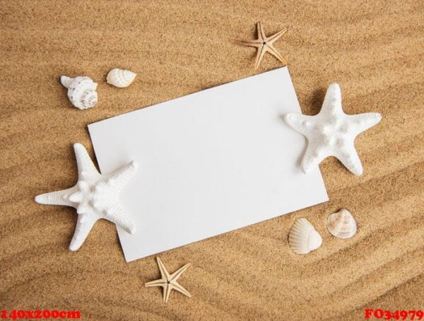 shells, seastars and an blank postcard