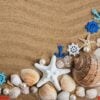 sea shells with sand as background