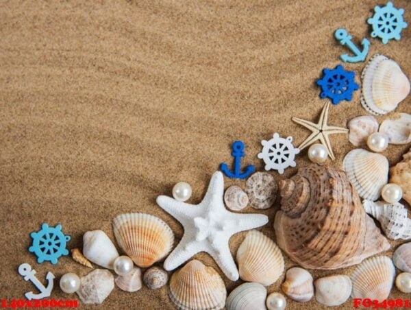 sea shells with sand as background