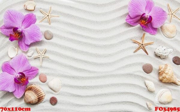 seashells and starfish border