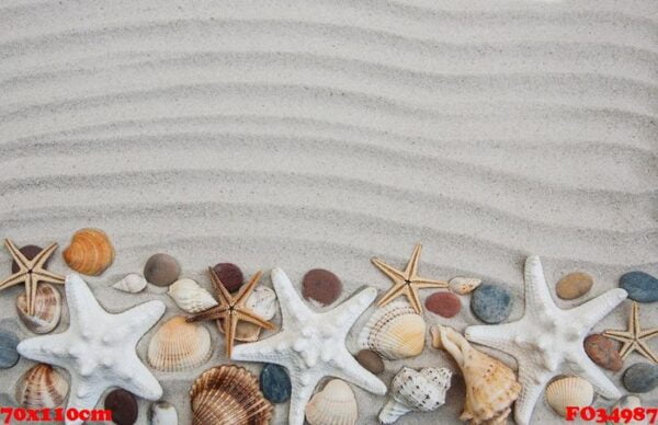 seashells and starfish border