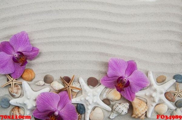 seashells and starfish border