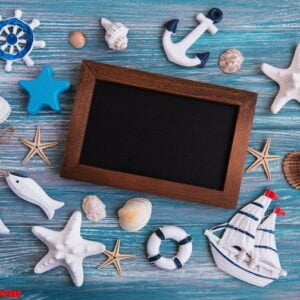 shells, seastars and a blackboard