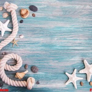 seashells and sea decorations with rope