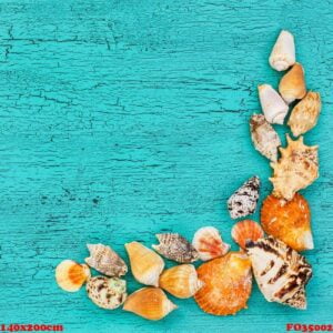 seashells on blue wooden background. copy space, top view.