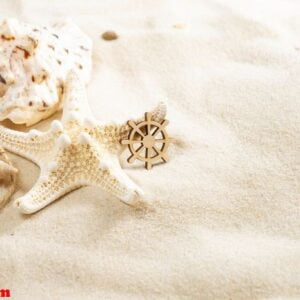 seashells on the sand with copy space. summer beach holiday conc