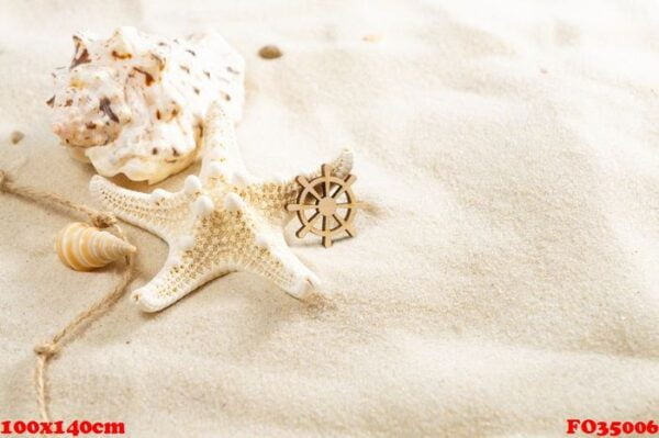 seashells on the sand with copy space. summer beach holiday conc