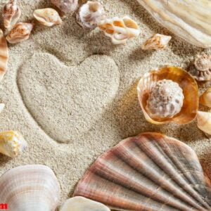 beach white sand heart shape print summer vacation