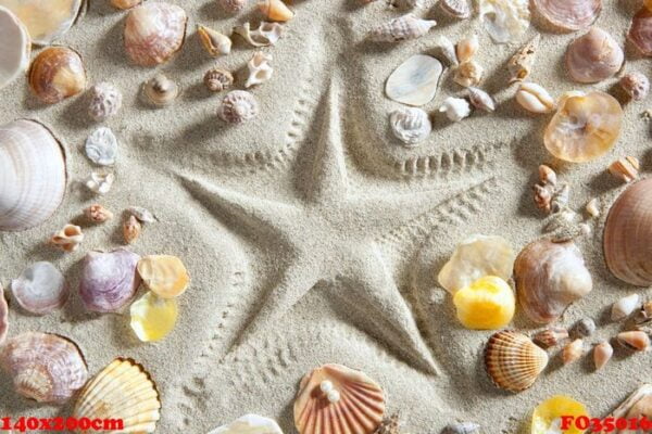 beach white sand starfish print many clam shells