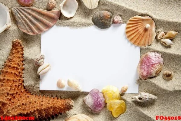 copyspace blank space summer starfish sand shells