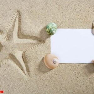 blank paper beach sand starfish pint shells summer