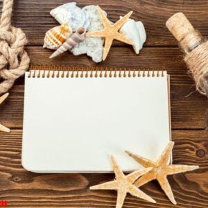 shells and notepad on wooden table. top view with copy space