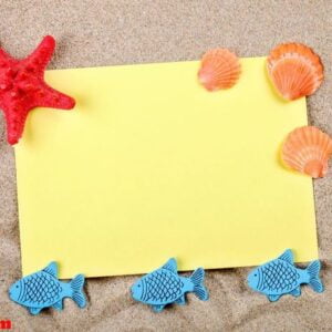 starfish and seashells lying on the sand on the postcard.