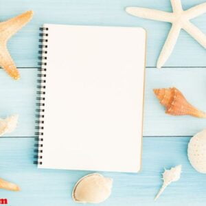 blank notebook and seashells on blue wooden floor.