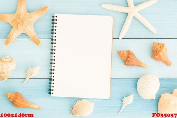 blank notebook and seashells on blue wooden floor.