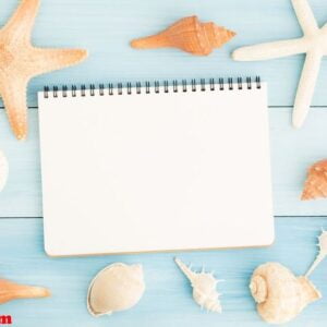 blank notebook and seashells on blue wooden floor.