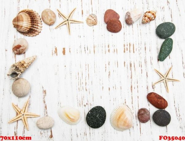 background with seashells and starfishes