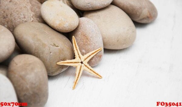 marine background with pebbles and starfish