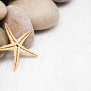 marine background with pebbles and starfish