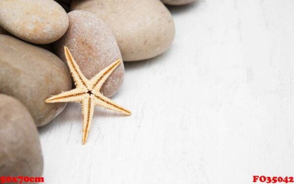 marine background with pebbles and starfish