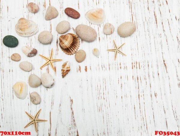 background with seashells and starfishes