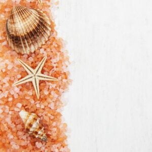 background with seashells and starfishes