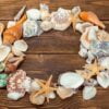 beach accessories on wooden board