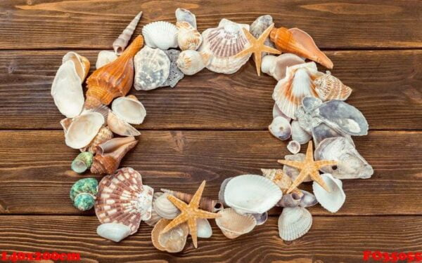 beach accessories on wooden board