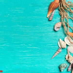 seashells on blue wooden background